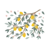 Lilipinso Grand Sticker Branches Et Citrons En Vinyle Mat Multicolore -Boutique KidKraft grand sticker branches et citrons en vinyle mat multicolore