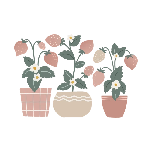 Lilipinso Grand Sticker Les Fraisiers En Vinyle Mat Rose 3 Lilipinso Grand Sticker Les Fraisiers En Vinyle Mat Rose