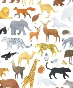 Lilipinso Papier Peint Animalia Multicolore