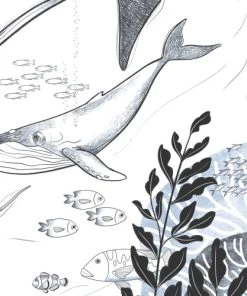 Acte Deco Papier Peint Enfant Panoramique Enfant Océan - 340x250 - Blanc -Boutique KidKraft papier peint enfant panoramique enfant ocean 340x250 blanc 3