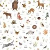 Lilipinso Papier Peint Forest Abc Multicolore 1 Lilipinso Papier Peint Forest Abc Multicolore -Boutique KidKraft papier peint forest abc multicolore