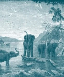 Ciment Factory Papier Peint Panoramique Gravure Les éléphants 390x270cm -Boutique KidKraft papier peint panoramique gravure les elephants 390x270cm 1