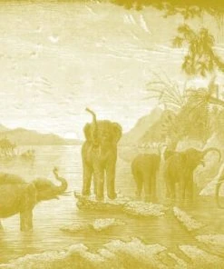 Ciment Factory Papier Peint Panoramique Gravure Les éléphants 390x270cm -Boutique KidKraft papier peint panoramique gravure les elephants 390x270cm 19