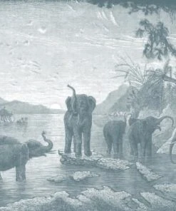 Ciment Factory Papier Peint Panoramique Gravure Les éléphants 390x270cm -Boutique KidKraft papier peint panoramique gravure les elephants 390x270cm 7