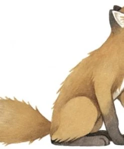 Lilipinso Sticker Xl Renard Vintage En Vinyle Mat Marron 43.5x45 Cm 9 Lilipinso Sticker Xl Renard Vintage En Vinyle Mat Marron 43.5x45 Cm -Boutique KidKraft sticker xl renard vintage en vinyle mat marron 43 5x45 cm 3